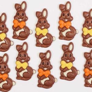 CHOCOGRAM 10 CHOCOLATE EASTER BUNNIES Discount In China