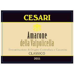 Cesari Amarone Della Valpolicella Classico DOCG 750ml Store Sale Online