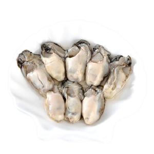 IQF SHUCKED OYSTER MEAT(M)  - 500GM/PKT Outlet Recommend