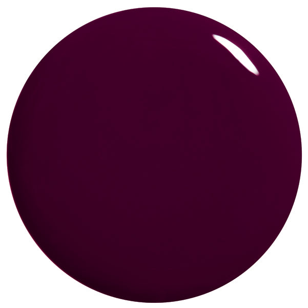 PLUM NOIR Discount Wide Range Of