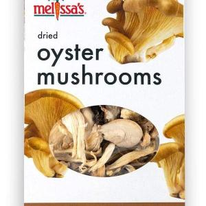 Dried Oyster Mushrooms Buy Cheap 2025 Newest