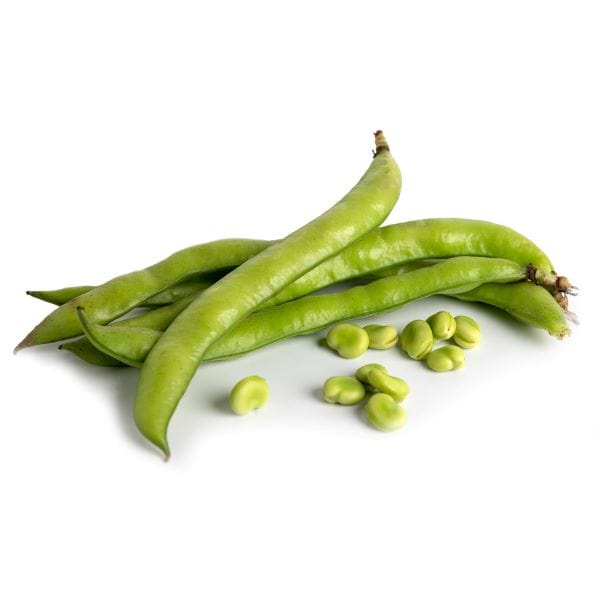Fava Beans Cheap Sale Get Authentic