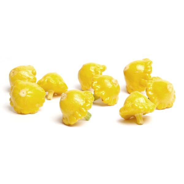 Baby Sunburst Squash Cheap Pice Low Shipping Fee