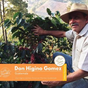 Guatemala | Don Higinio Gomez | Yellow Pacamara | WASHED Clearance Fast Delivery
