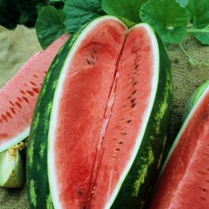 WATERMELON ALL SWEET Sale New