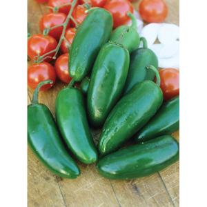 PEPPER JALAPENO M Free Shipping Limited Edition