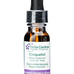 Flower Essence - Cinquefoil Sale Discount