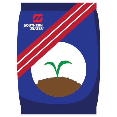 BEET SUGAR Collections Online