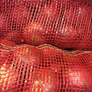 Indian Red Onions Bags Discount Cost