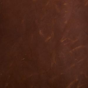 Arizona Whole Hide Manchester Great Sale Online