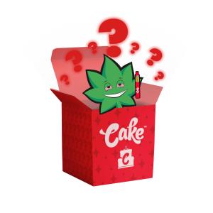 Cake Mystery Box - Lifted Outlet Fashion Style
