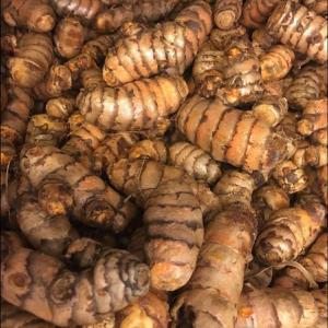 Turmeric root 200 g Pices For Sale
