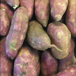 Sweet Potato 500g Sale Latest