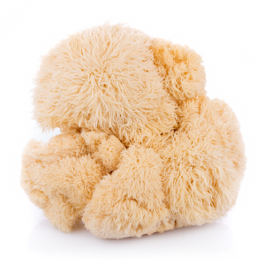 1 Month Weekly Gift Subscription - Fresh Lion's Mane Box (4 deliveries) Cheap Fashion Style