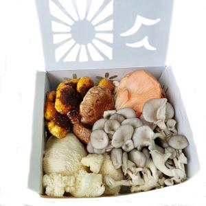 Fresh Mixed Variety Box Outlet With Credit Card