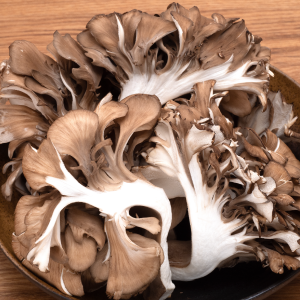 Fresh Maitake (Hen of the Woods) Box Outlet Websites
