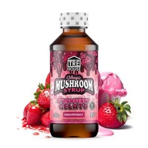 Tre House Magic Mushroom Strawberry Gelato Syrup Buy Cheap Classic