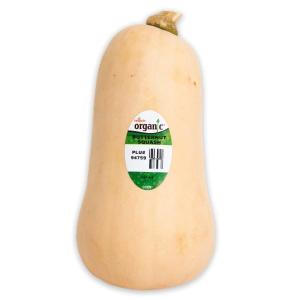 Organic Butternut Squash Cheap Buy Authentic