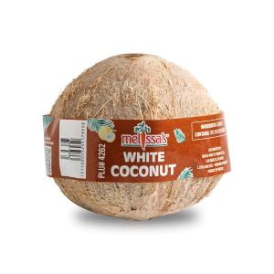 White Coconuts Cheap Sale 100% Guaranteed