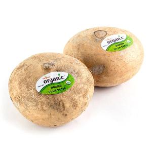 Organic Jicama Clearance Official