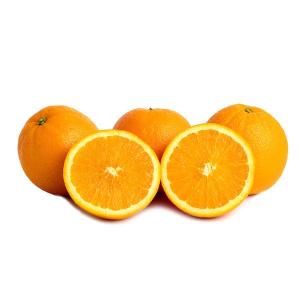Organic Navel Oranges Shop For Sale
