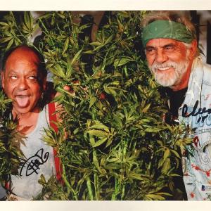 CHEECH & CHONG Autograph Signed 11x14 Photo #3  Beckett BAS COA  Up in Smoke Cheap Low Cost