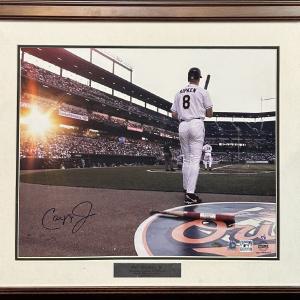 Cal Ripken Jr Signed 16x20 Framed Photo Le/8 Orioles Autograph Steiner MLB COA From China Free Shipping Low Pice