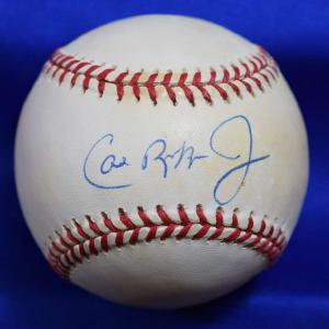 Cal Ripken Jr PSA DNA Autographed American League Signed Baseball Free Shipping Eastbay