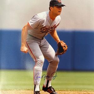 Cal Ripken Jr Autographed 16x20 Baseball Photo (JSA) Pices Cheap Online