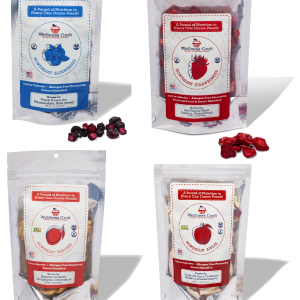 Freeze-Dried Fruit Basket Northeast Grown EcoCertified Monthly Subscription Basket Outlet Low Shipping Fee