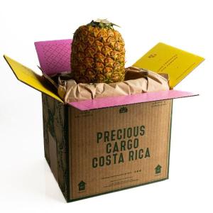 Pinkglow Pineapples Outlet 100% Authentic