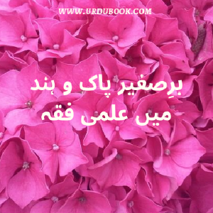 Baresageer Pak-O-Hind Mai Ilm-E-Fiqqah Sale Fashion
