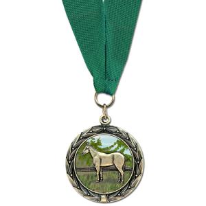 1-3/4" Custom HBXC Color Fill Award Medal With Grosgrain Neck Ribbon View Cheap Online