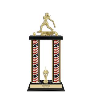 15" 2 Column Award Trophy With Trim Shop Sale Online