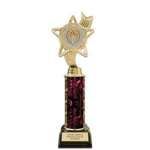 11" Custom Black Base Award Insert Top Trophy Cheap Sale Eastbay
