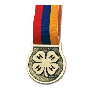 2-1/2" VX Award Medal With Grosgrain Neck Ribbon Clearance Genuine