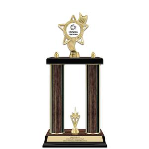 15" Custom Walnut Finished Award Trophy With Trim & Insert Top Discount In China