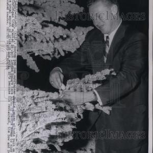 1954 Press Photo Jackie Jensen of Boston Red Sox Adjusts Christmas Tree Lights Sale Cheap Pice