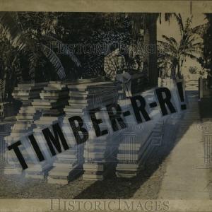 1955 Press Photo Bleacher Seats that were to be Placed on Canal St. - noca01537 Cheapest Pice