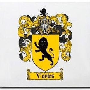 Voyles Family Shield / Coat Of Arms Mouse Pad Clearance Fake
