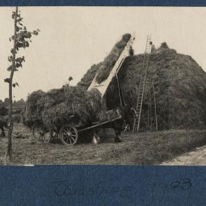 'Thrashing' Greetings Card Clearance Classic