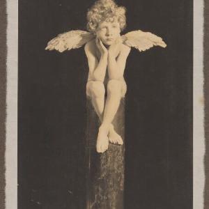 'The thoughts of youth are long long thoughts' Greetings Card Sale Latest