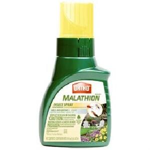 Malathion Insect Control, 16-oz. Concentrate For Sale Cheap Pice