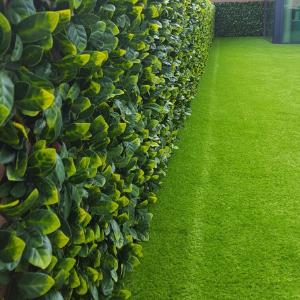 3.5 ft. H x 6.5 ft. W Artificial Rose Leaf Accordion Expandable Polyethylene Privacy Screen Get Authentic Sale Online