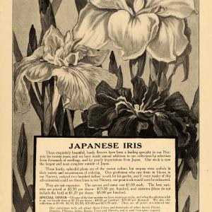 1912 Ad Elliot Nursery Japanese Iris Flowers Glasshouse - ORIGINAL GH2 Buy Cheap Best Store To Get