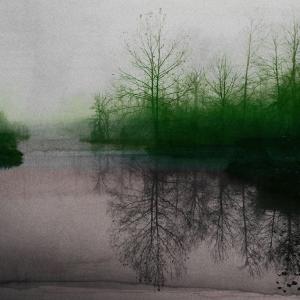 Beetle Lake Low Pice Fee Shipping