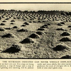 1932 Print Nitrogen Green Manure Alfalfa Montana Grain Farming Field Soil FZ1 Buy Cheap Brand New Unisex