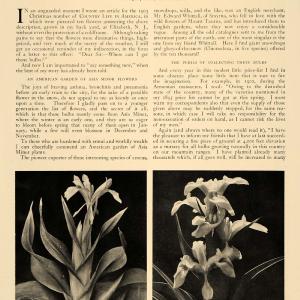 1906 Article Gardening Planting Winter Flowers Iris Floral Botanical J.N CLA1 Outlet Affordable