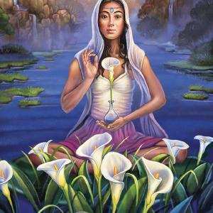 06 Be Still - Calla Lilly Geniue Stockist Cheap Pice