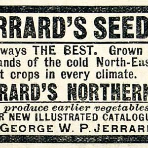 1895 Ad George WP Jerrard Seed Potatoes Crop Northern Yield Vegetable CCG1 Clearance Original